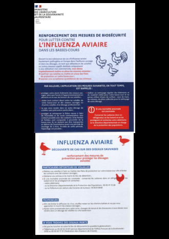 VIRUS GRIPPE AVIAIRE : PASSAGE EN RISQUE ELEVE