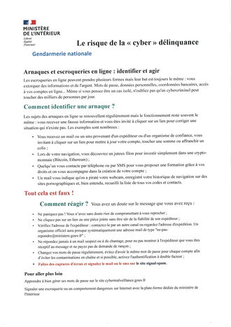 LE RISQUE DE LA &quote;CYBER&quote; DELINQUANCE