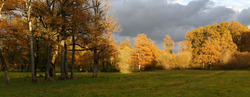 Paysage à Mérinchal