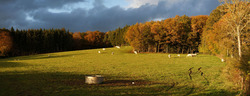 Paysage à Mérinchal