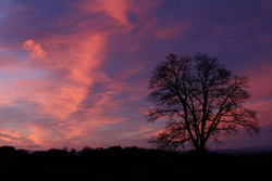 Paysage à Mérinchal