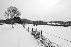 Paysage à Mérinchal