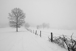 Paysage à Mérinchal