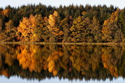 Paysage à Mérinchal