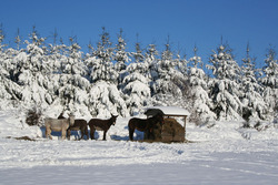 Paysage à Mérinchal